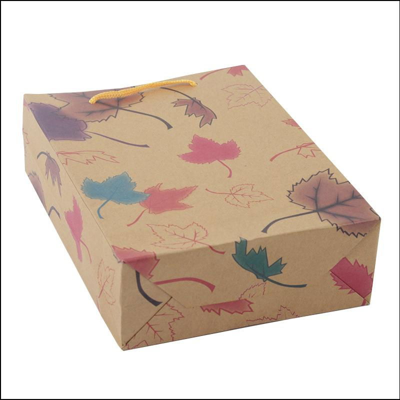 China factory produce stand up kraft paper bag 3