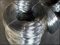 Galvanized Wire 1