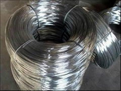 Galvanized Wire