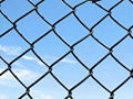 Chain Link Fence