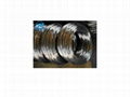 Galvanized wire 1