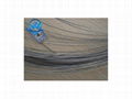 Galvanized wire 5