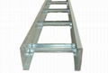 Ladder Cable Tray