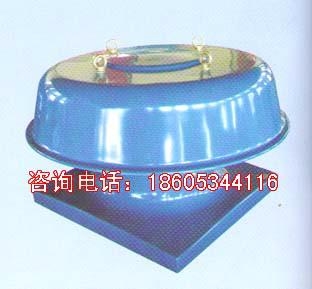 德州專業生產DWT-I型軸流屋頂風機 4
