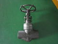 API/ANSI forged  globe valve 2