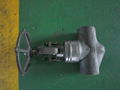 API/ANSI forged  globe valve