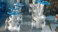 API/ANSI cast globe valve 8