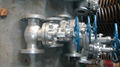 API/ANSI cast globe valve