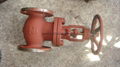 API/ANSI cast globe valve