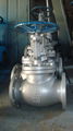 API/ANSI cast globe valve