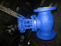 ansi bellows seal globe valve 1