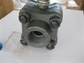 Class 800 Forged ball valve 1