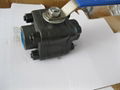 Class 800 Forged ball valve 2