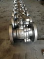 Ansi Floating ball valve