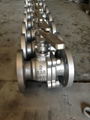 Ansi Floating ball valve