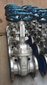 API/ANSI gate valve