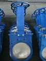 ansi wafer Knife gate valve 5