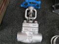 API/ANSI forged gate  valve