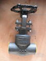 API/ANSI forged gate  valve