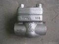 Forged check valve