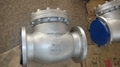 API/ANSI swing check valve 2