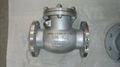 API/ANSI swing check valve 4