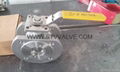 WAFER Ball Valve 3