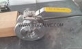 WAFER Ball Valve 2