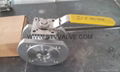 WAFER Ball Valve 1