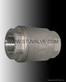 threaded swing check valve