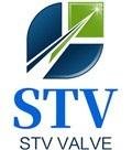 STV Valve Technology Group Co., Ltd