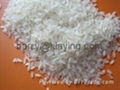 Medium grain white rice 5% 