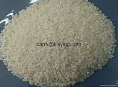 vietnamese short round rice