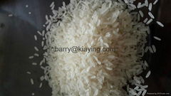 vietnamese long grain fragrant rice