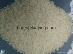 Canbodian  jasmine rice