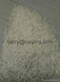 Canbodian  jasmine rice 4