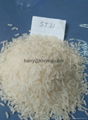 Vietnam high ranking fragrant rice--ST21