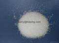 refined salt  edible sea salt