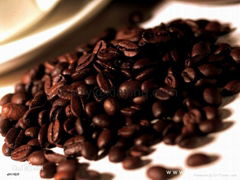 coffee beans