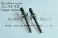 selling stainless steel 3/16 1/4 structural blind rivet for automotive industry