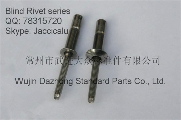 selling stainless steel 3/16 1/4 structural blind rivet for automotive industry 2