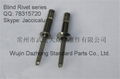 selling stainless steel 3/16 1/4 structural blind rivet for automotive industry 2