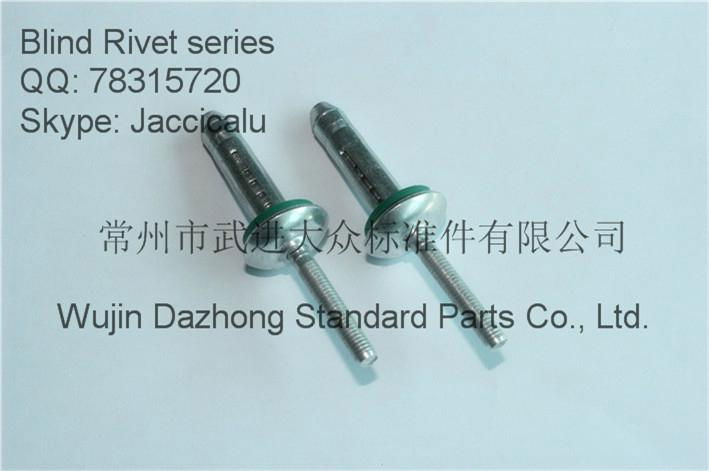 selling stainless steel 3/16 1/4 structural blind rivet for automotive industry 3