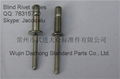 selling stainless steel 3/16 1/4 structural blind rivet for automotive industry 5