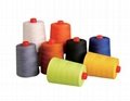 Aramid  sewing thread  for Special fields