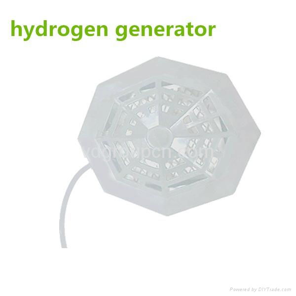 Electrolysis Hydrogen Water Generator