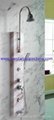 new sanitary ware-Aluminum Alloy Shower Panel -shower column   1