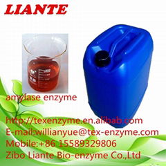 amylase enzyme