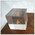 Acrylic 5*5CM Cube with Specimen Embedded for Souvenir Lucite Cube with Specimen