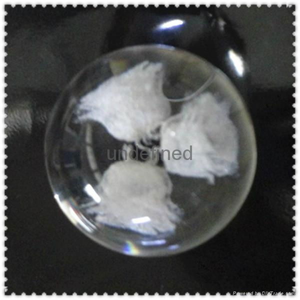 Clear Custom Acrylic 50MM/100MM Diameter Bubble Ball Plexiglass Ball for Display 2